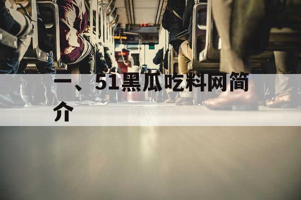 一、51黑瓜吃料网简介