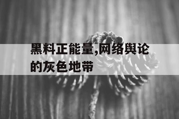黑料正能量,网络舆论的灰色地带