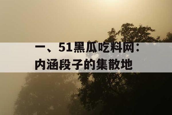 一、51黑瓜吃料网：内涵段子的集散地