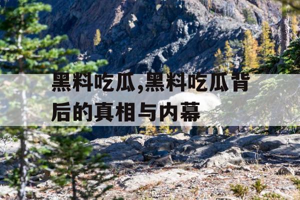 黑料吃瓜,黑料吃瓜背后的真相与内幕
