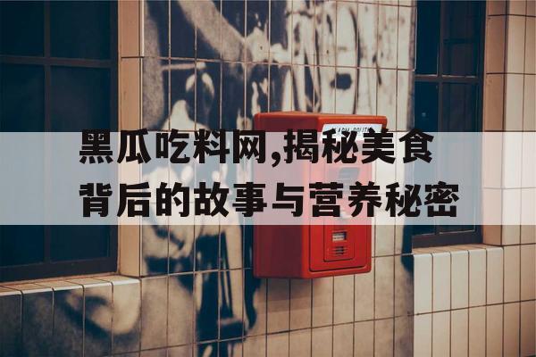 黑瓜吃料网,揭秘美食背后的故事与营养秘密
